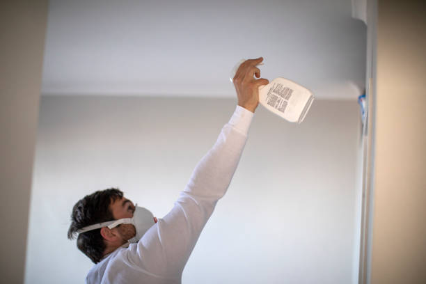 Best Certified Mold Removal  in Narragansett Pier, RI
