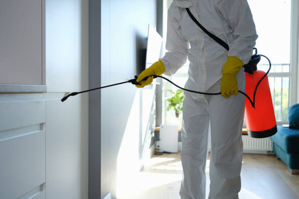 Best Mold Damage Repair  in Narragansett Pier, RI