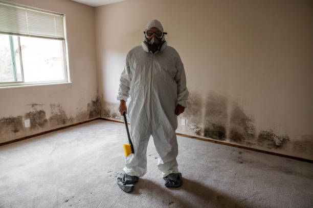 Professional Mold Removal in Narragansett Pier, RI